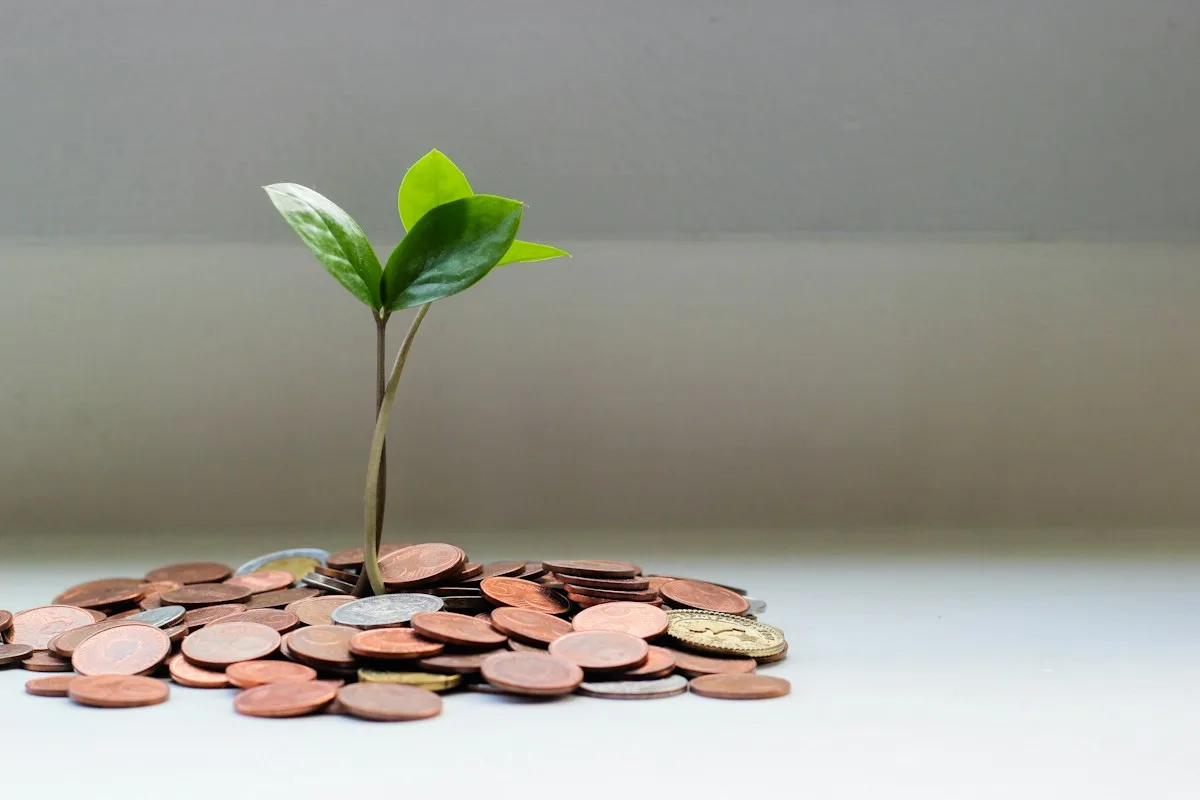 Financing and working capital for businesses